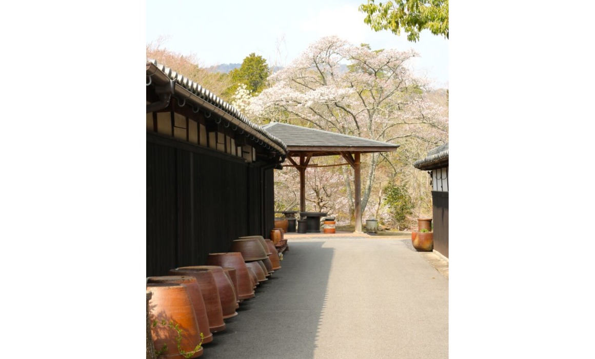 伊賀の風景
